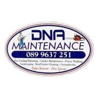 DNA Maintenance image 1